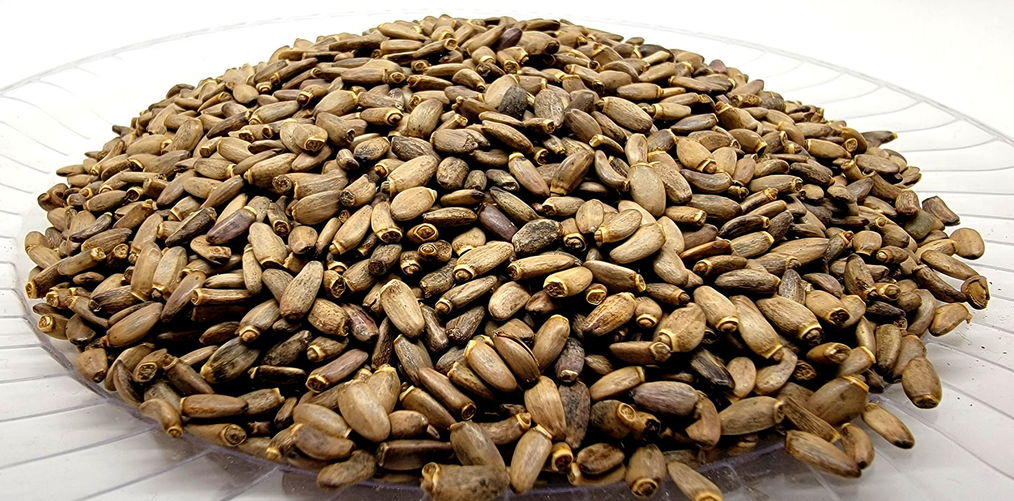 Milk Thistle Seeds