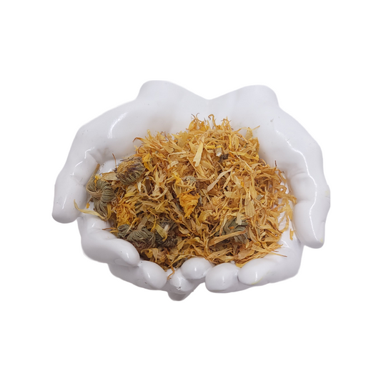 Calendula Marigold flowers