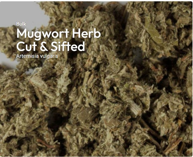 Mugwort herb c/s (limited supply)