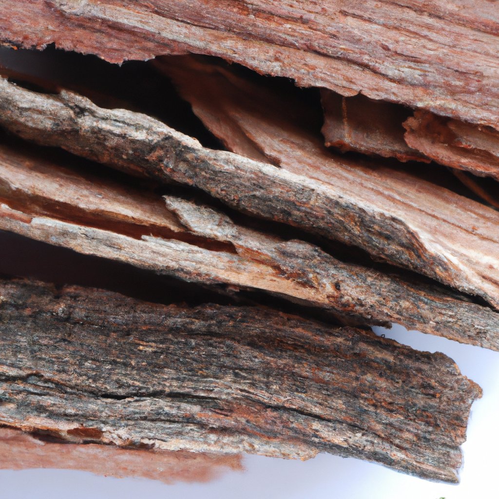 Cinchona Bark Quina Roja Sifted Powdery