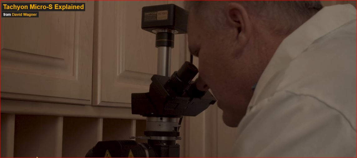 Panther Juice - Pain Relief Formula