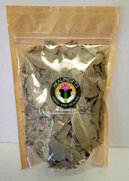 Eucalipto Eucaliptus Leaves EUCALYPTUS GLOBULUS