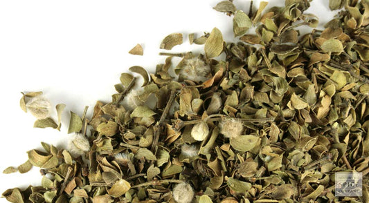 Chaparral Hedodionilla Gobernadora