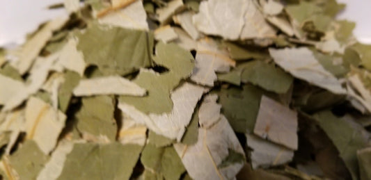 Lotus Leaves Nelumbo Nucifera cut No Sulfites