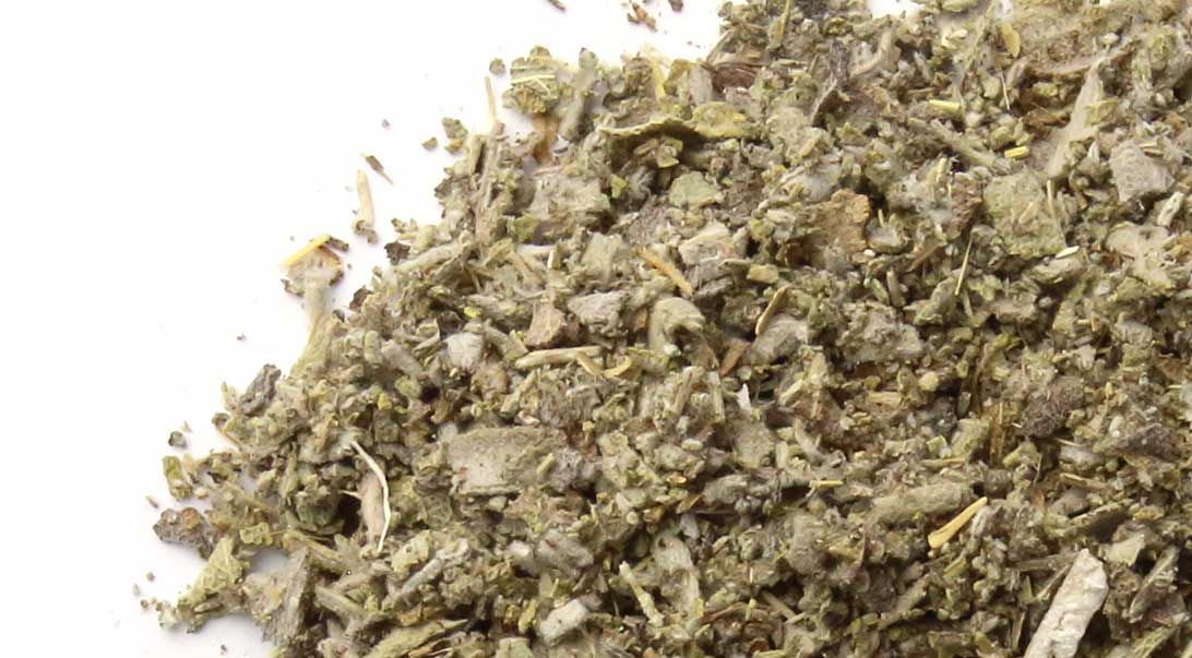 Salvia Hojas de salvia cortadas y cernidas Salvia officinalis