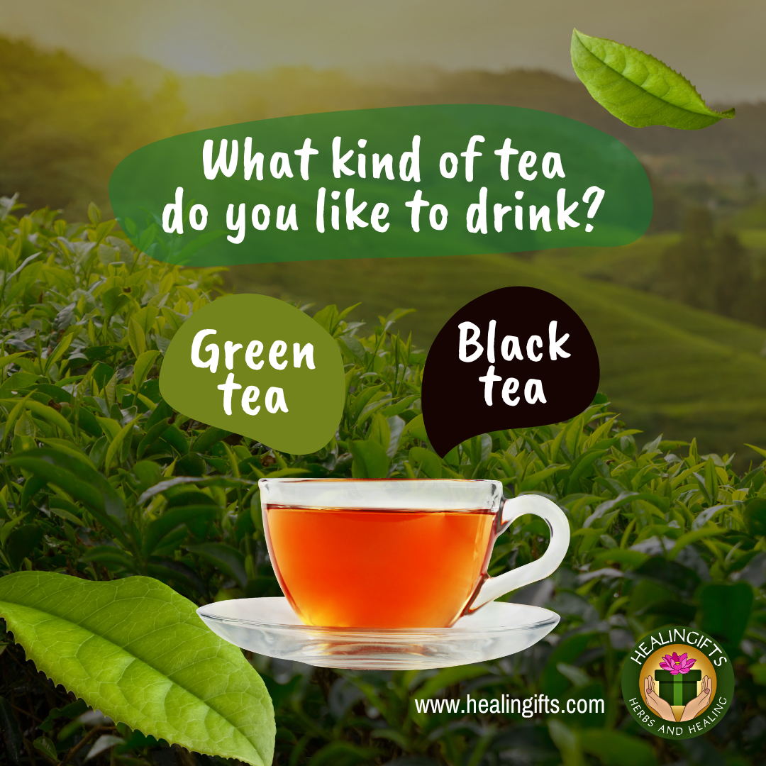 Green Tea vs Black Tea