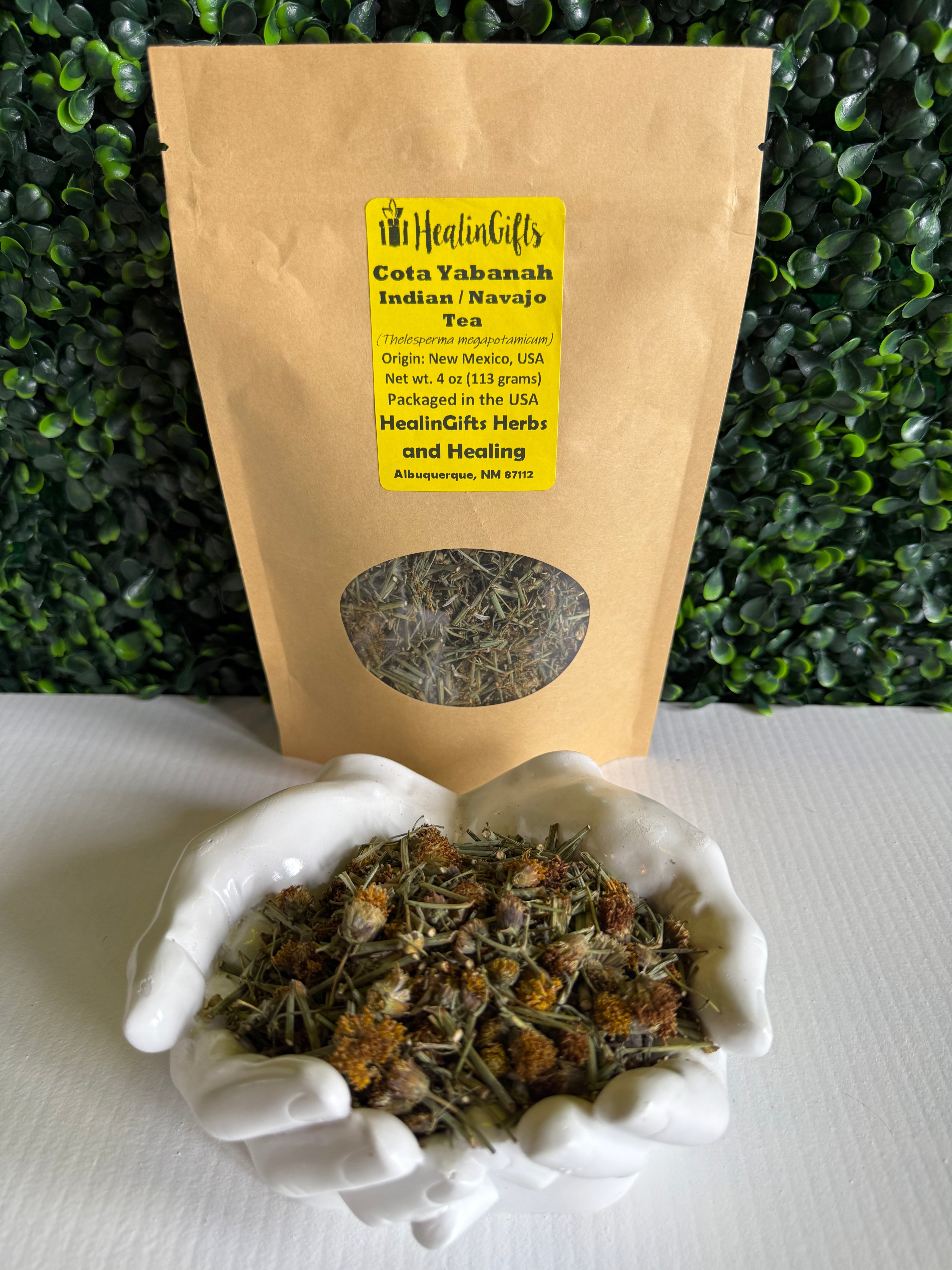 Exploring Navajo Tea (Cota): Benefits and Usage