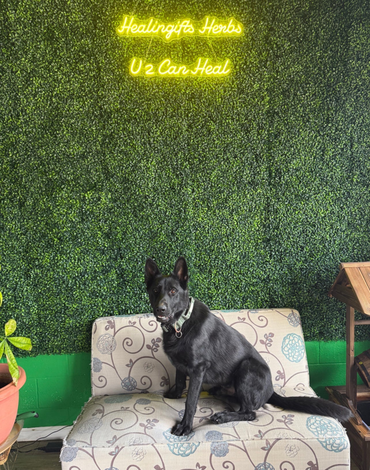 Look inside our new space!