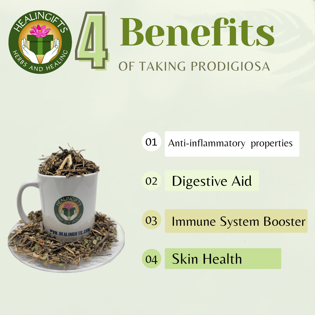 Prodigiosa 15 tea bags in resealable Kraft bag - our popular tea for digestion
