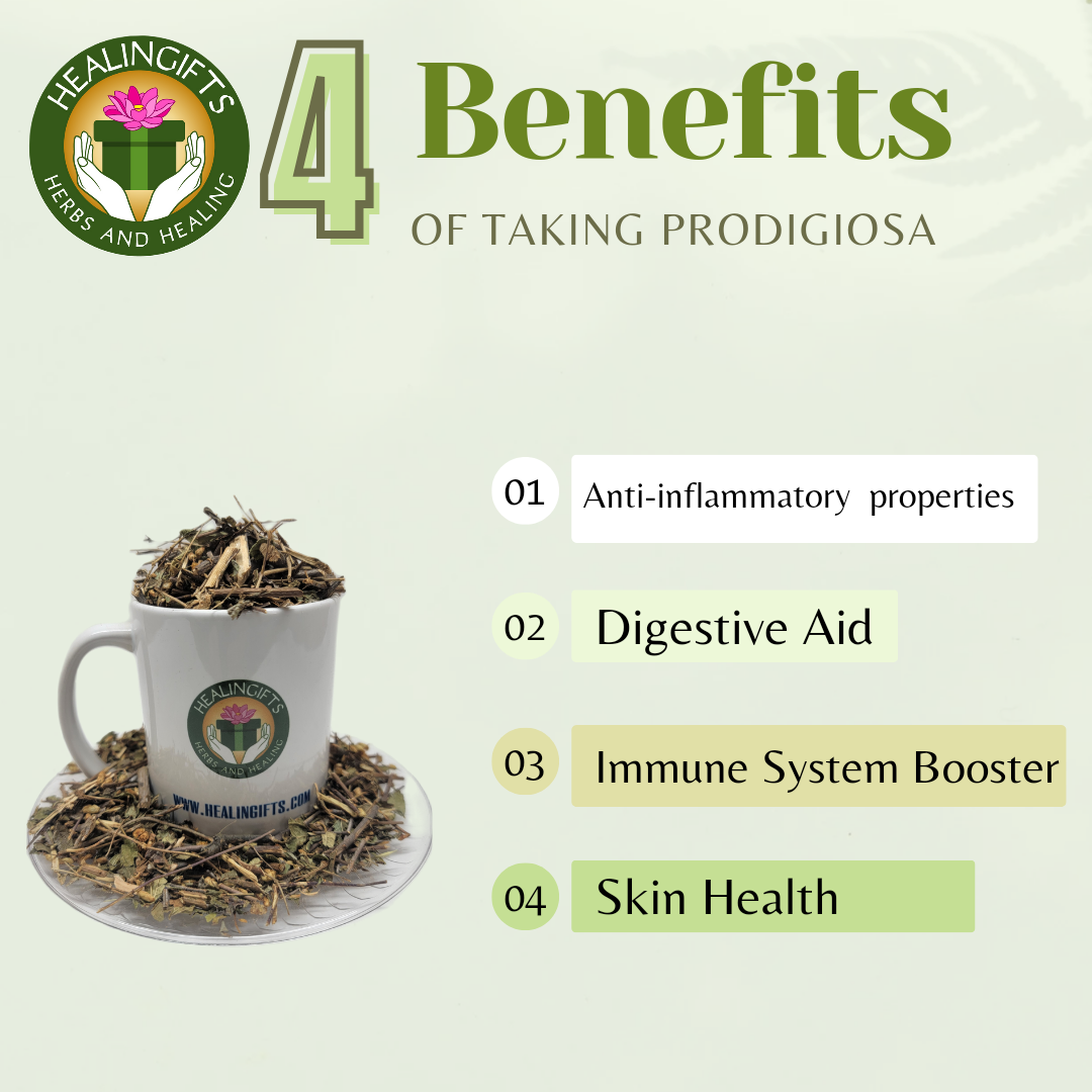 Prodigiosa con mezcla de musgo marino irlandés 8 bolsitas de té por ca –  Healingifts Herbs and Healing