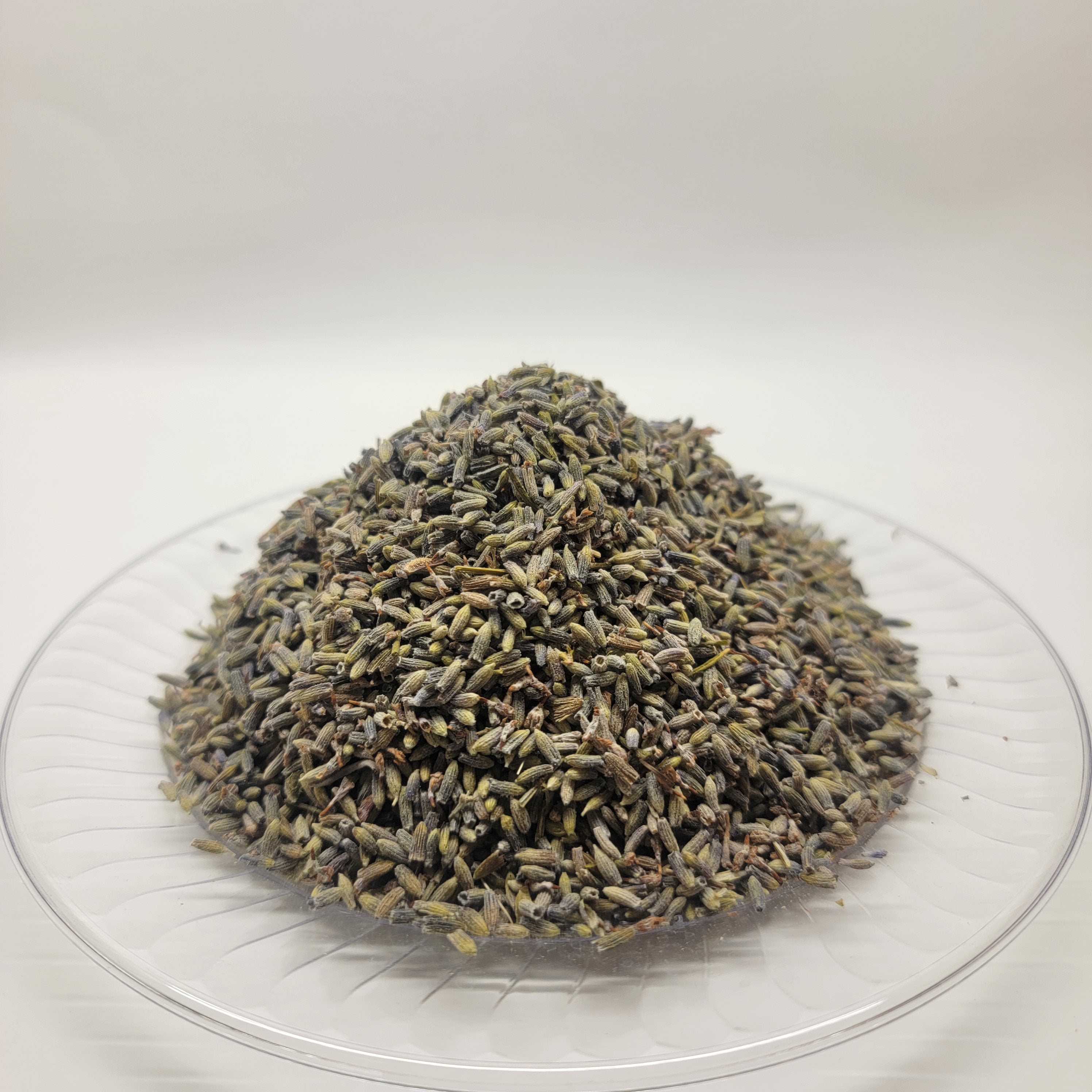 Lavender Alucema  LAVANDULA ANGUSTIFOLIA