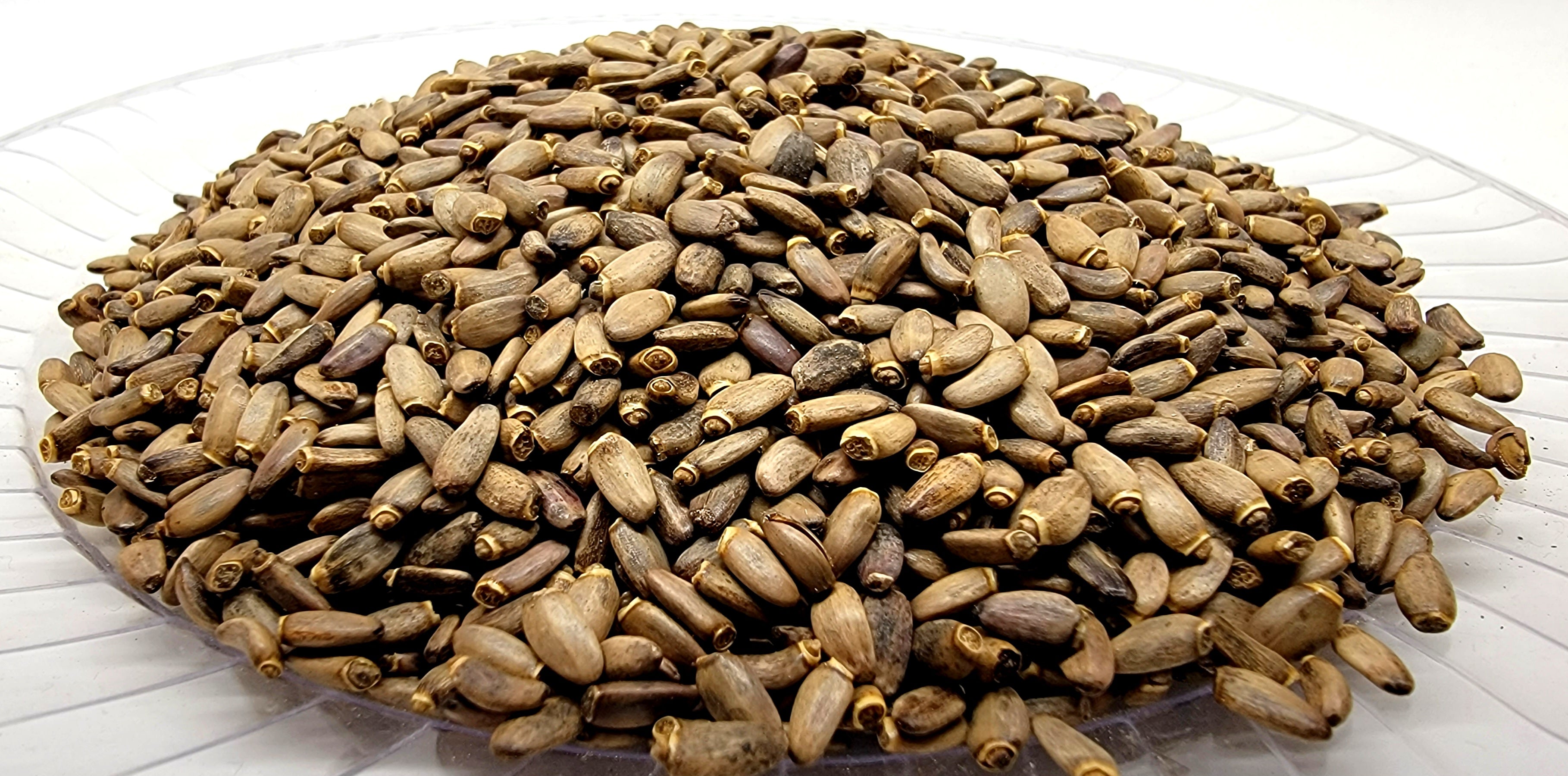 Semillas de cardo mariano