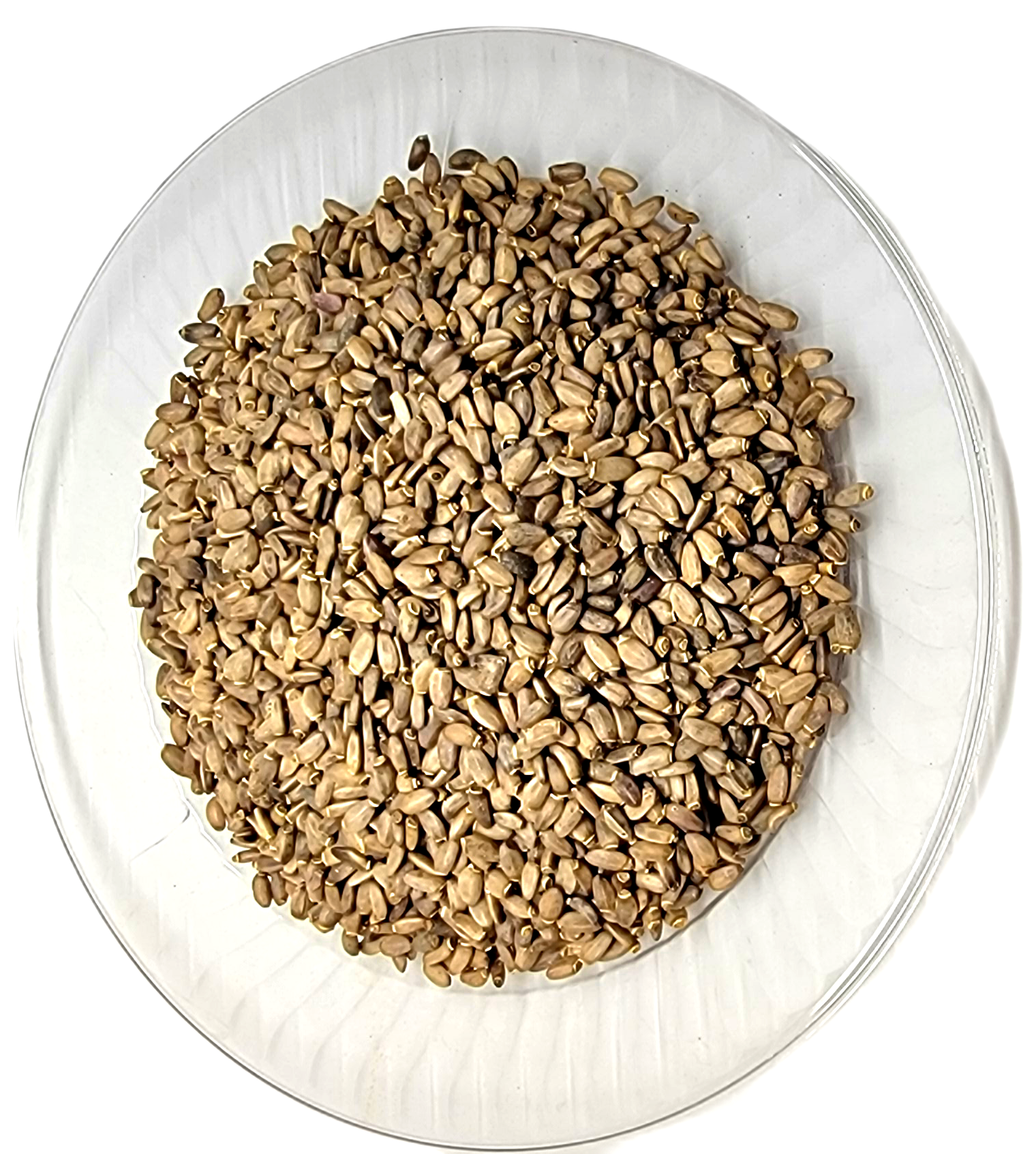 Semillas de cardo mariano