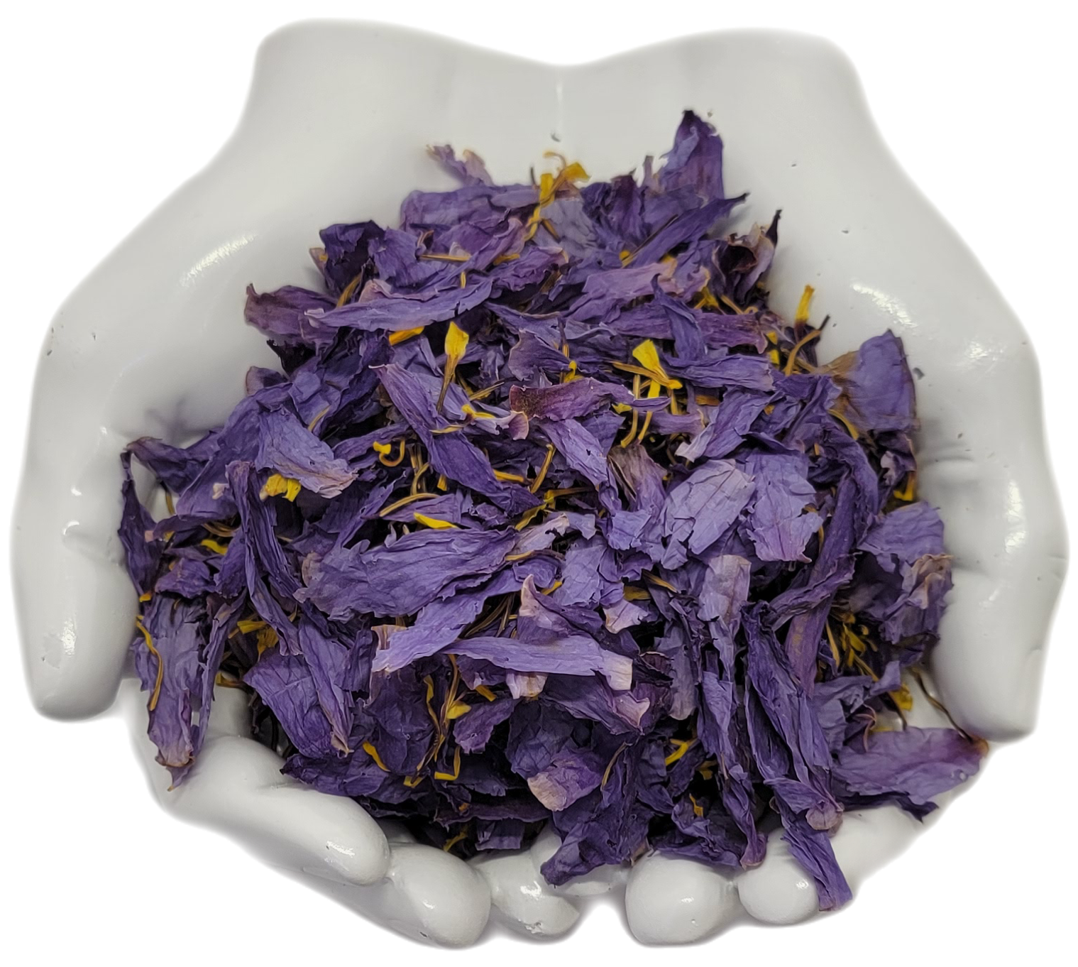 Blue Lotus dried flower or  Nymphaea caerulea