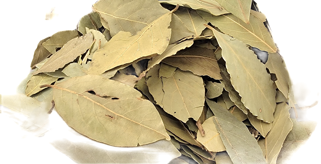 Hojas de laurel