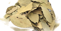 Hojas de laurel