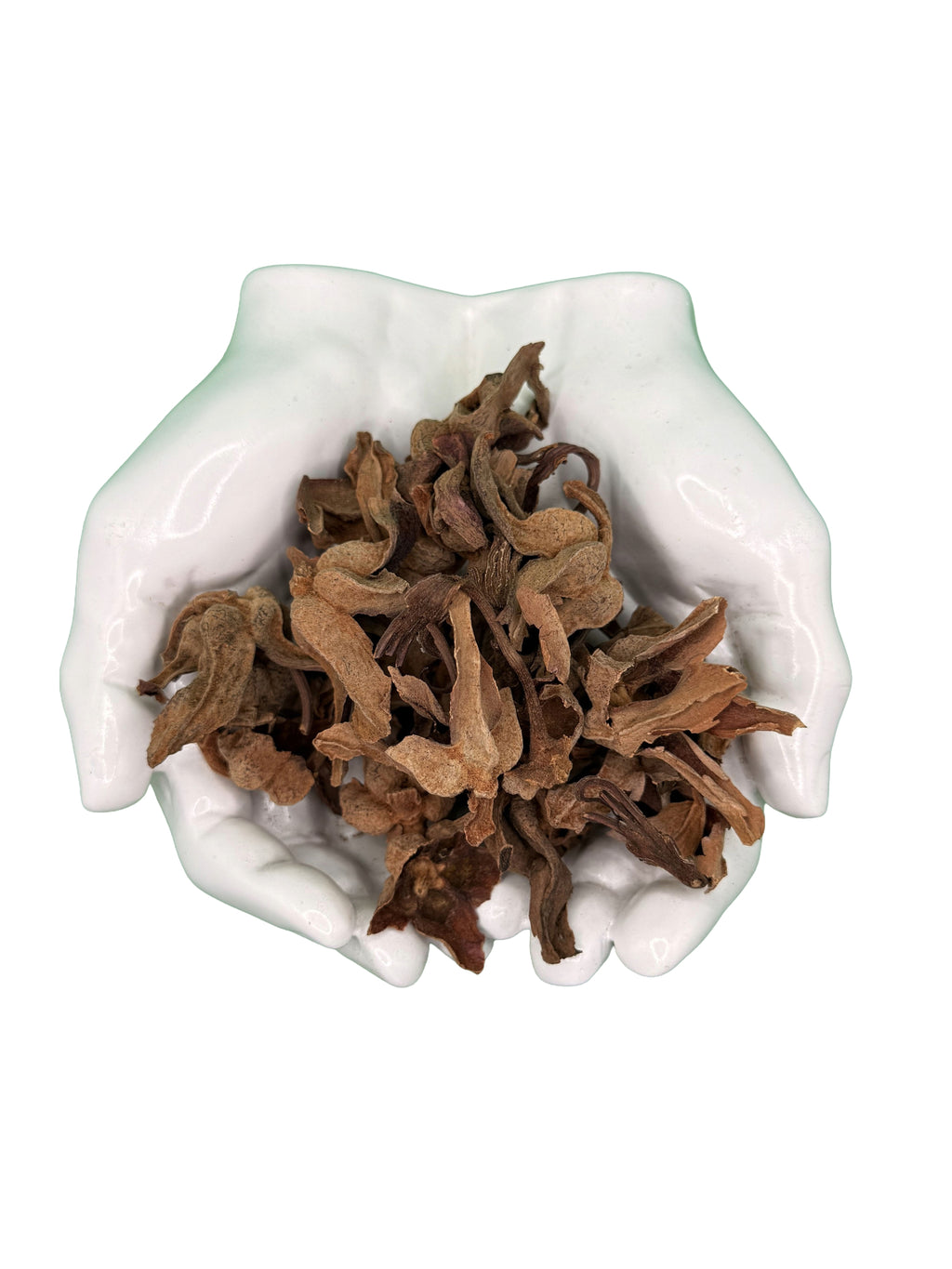 Flor De Manita