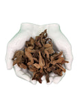 Flor De Manita