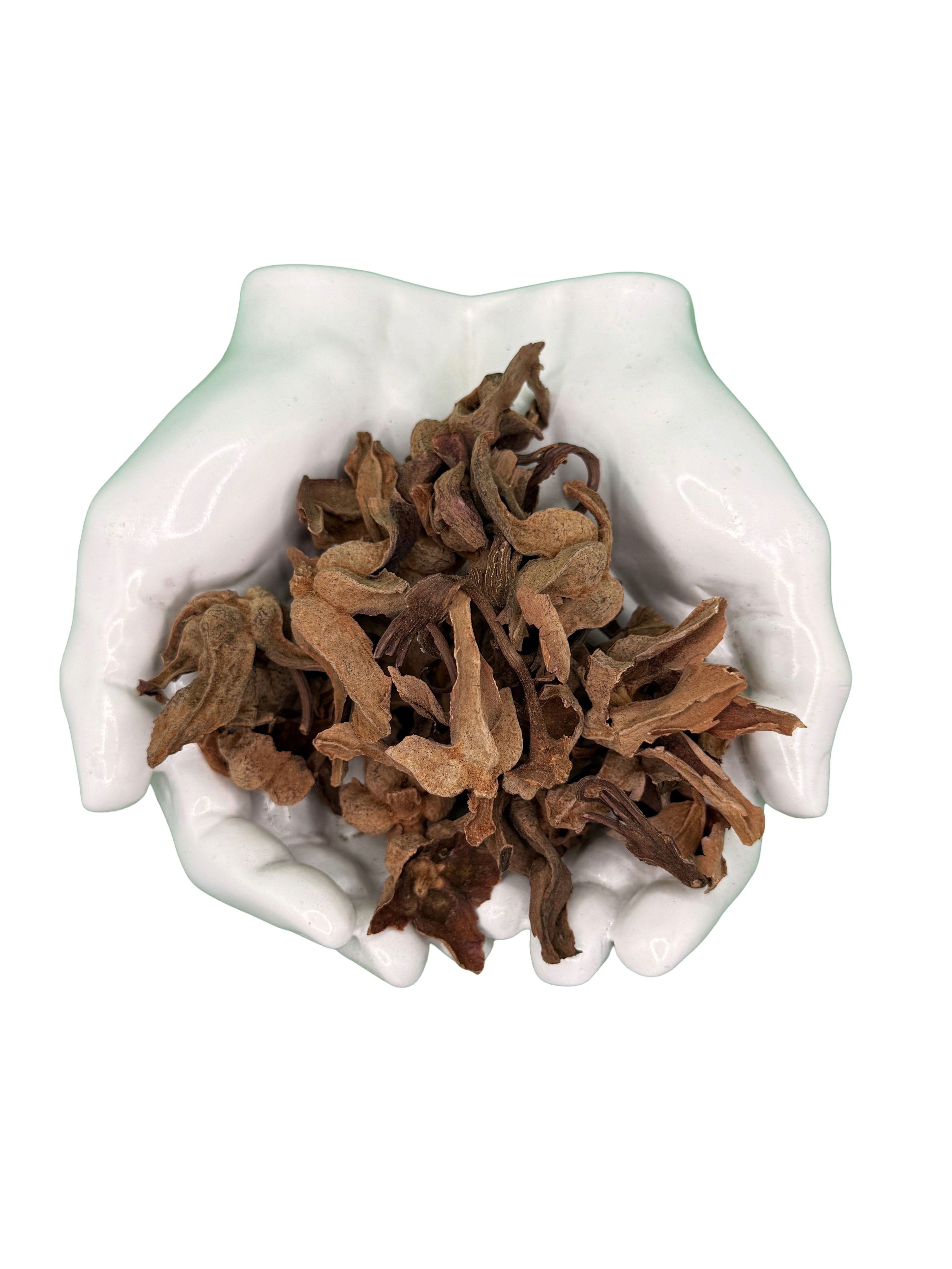 Flor De Manita