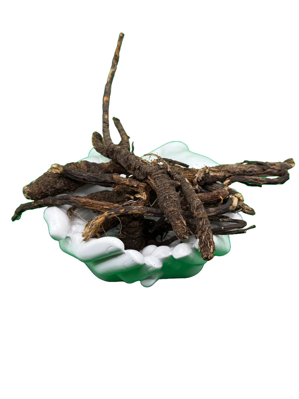 Osha Root (Ligusticum porteri) | HealinGifts