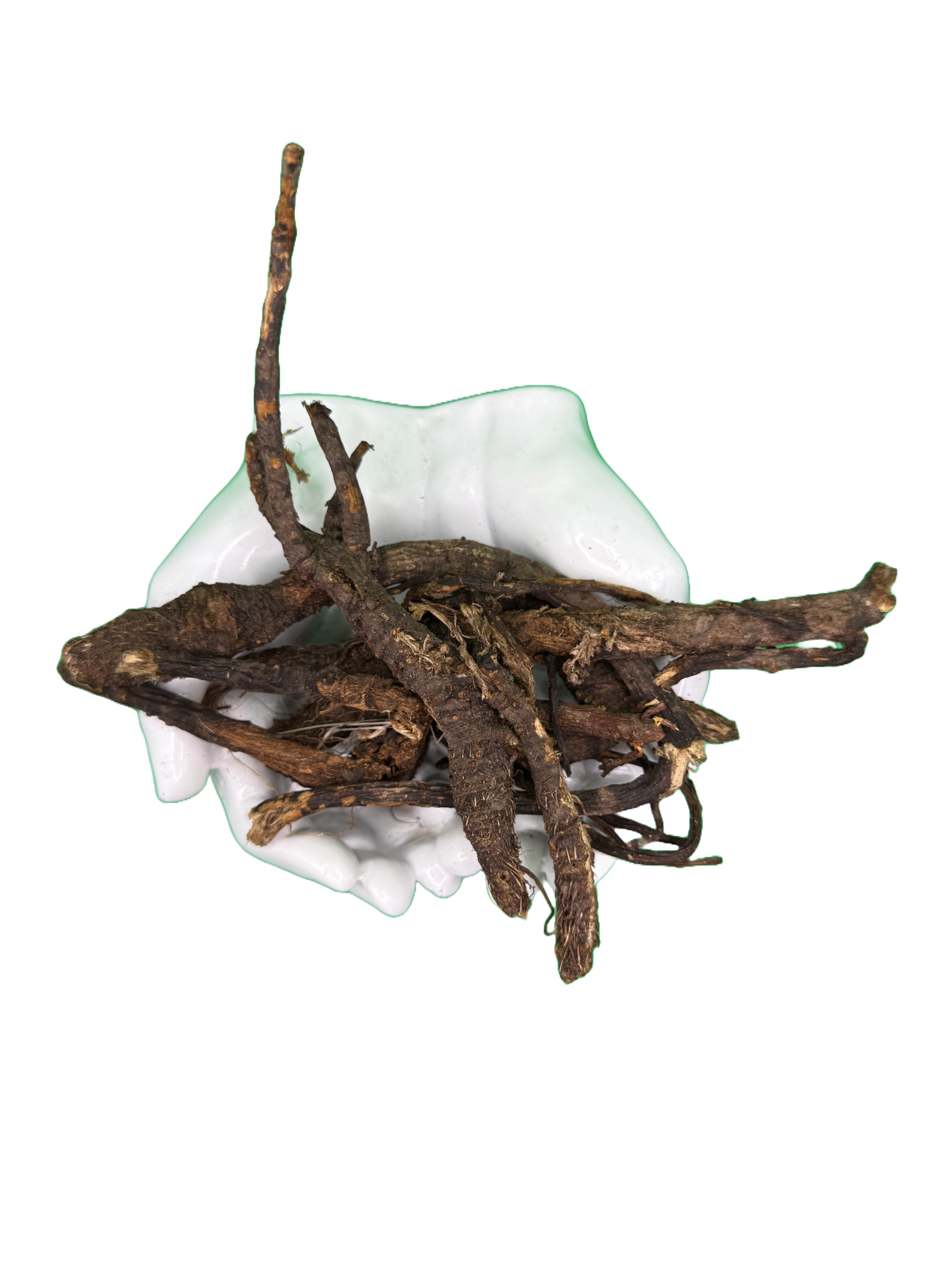 Osha Root whole freshly harvested great for cough respiratory issues and pain
