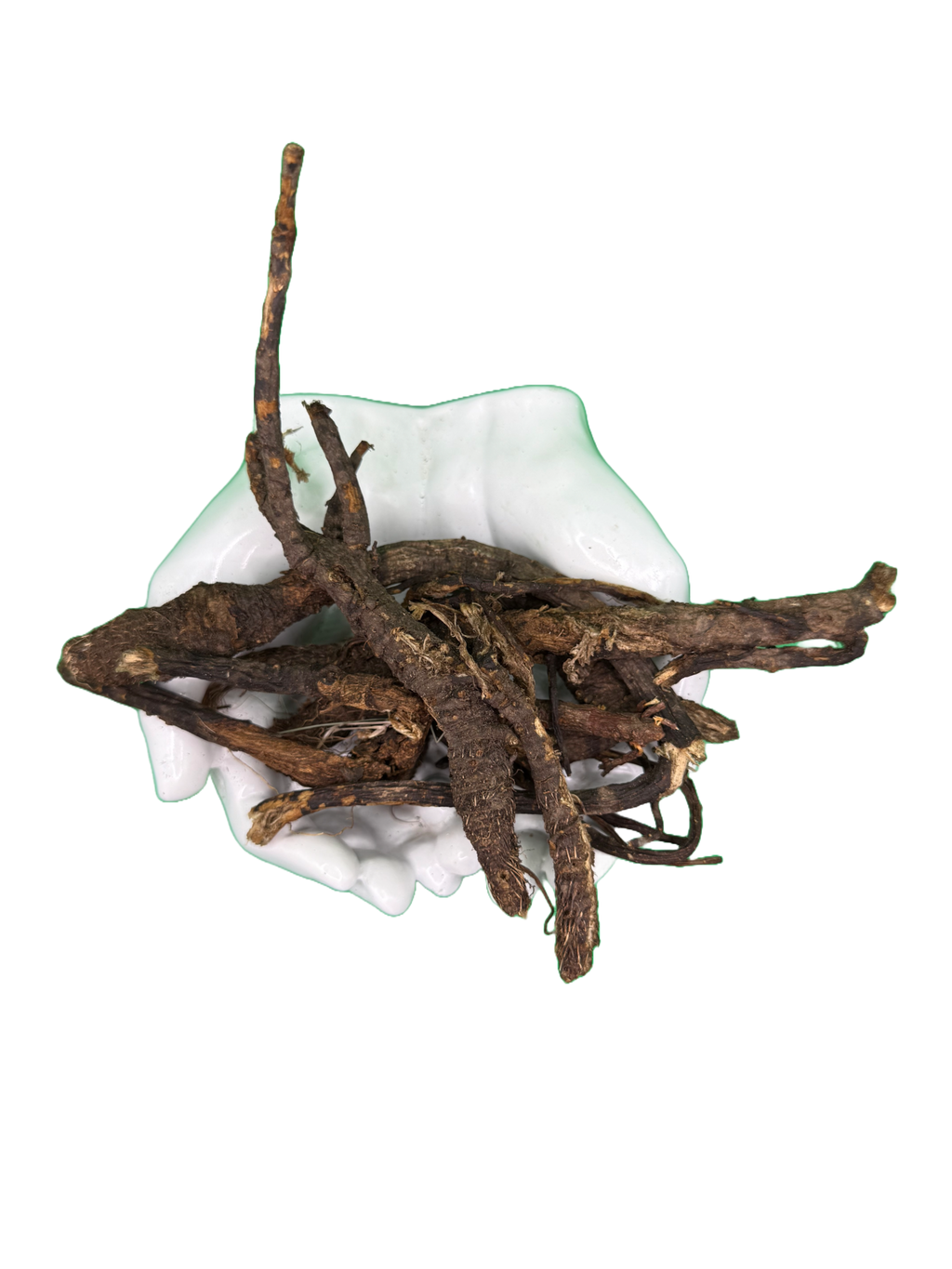 Osha Root (Ligusticum porteri) | HealinGifts