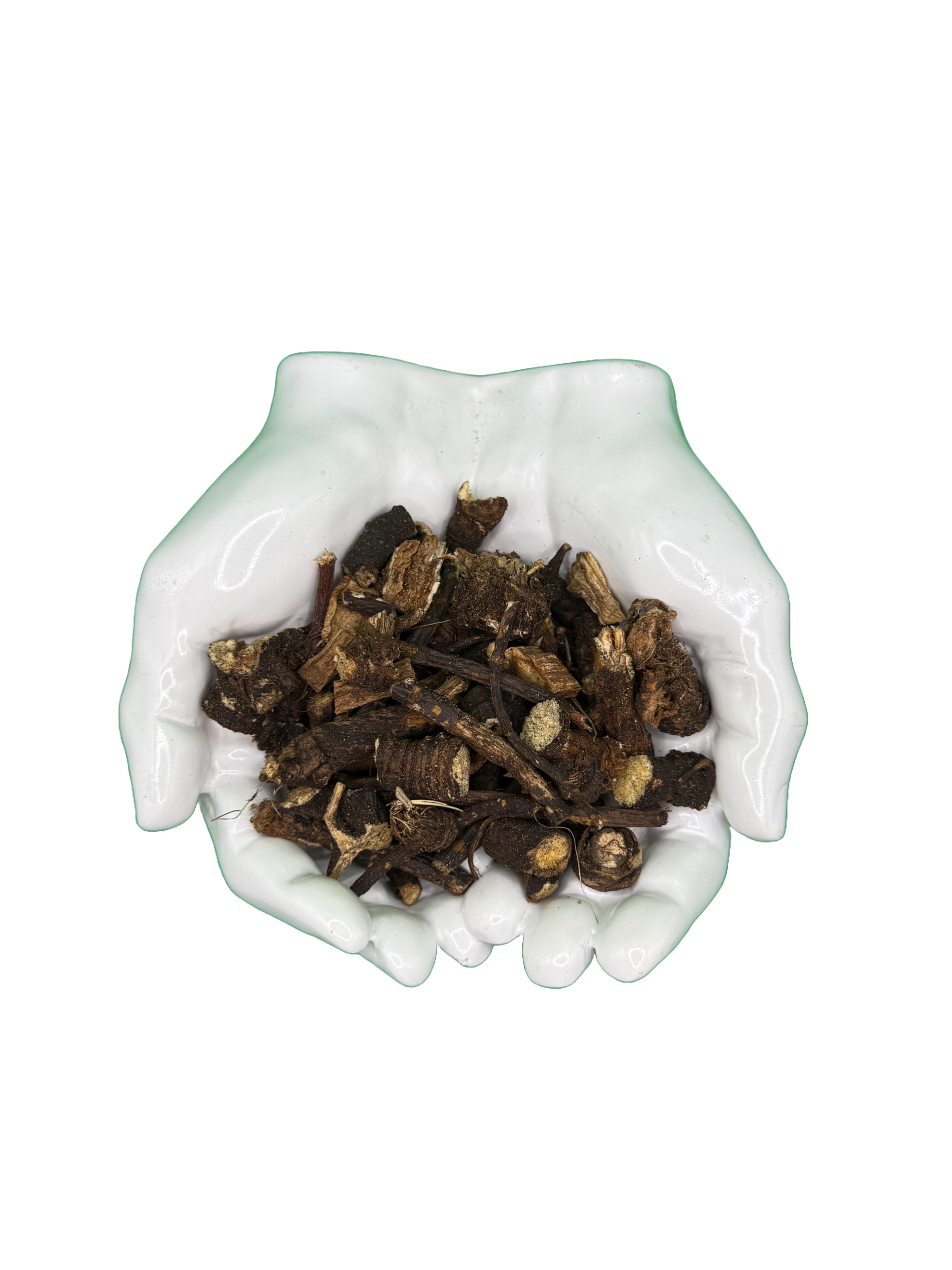 Osha Root whole freshly harvested great for cough respiratory issues and pain