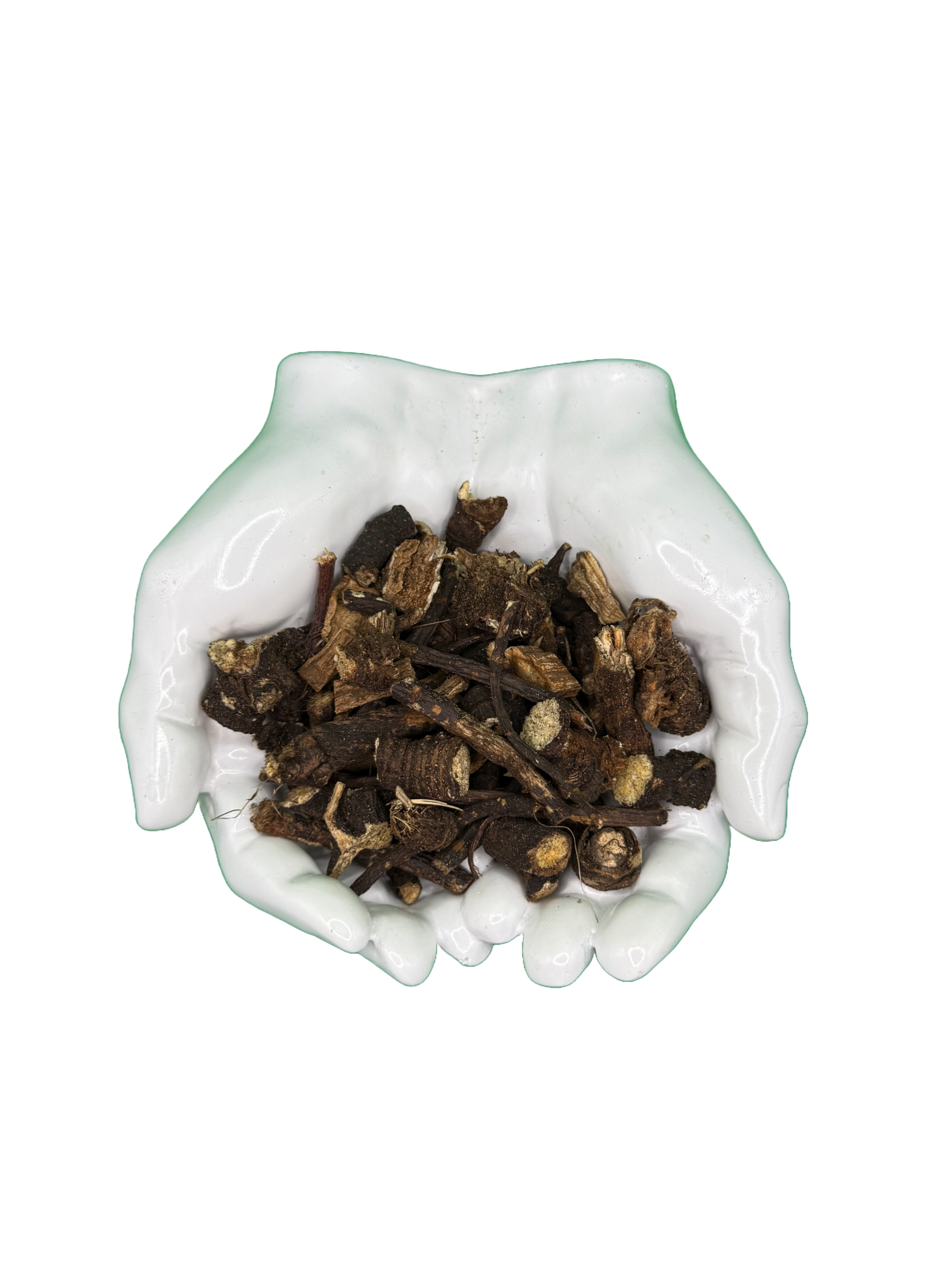 Osha Root (Ligusticum porteri) | HealinGifts