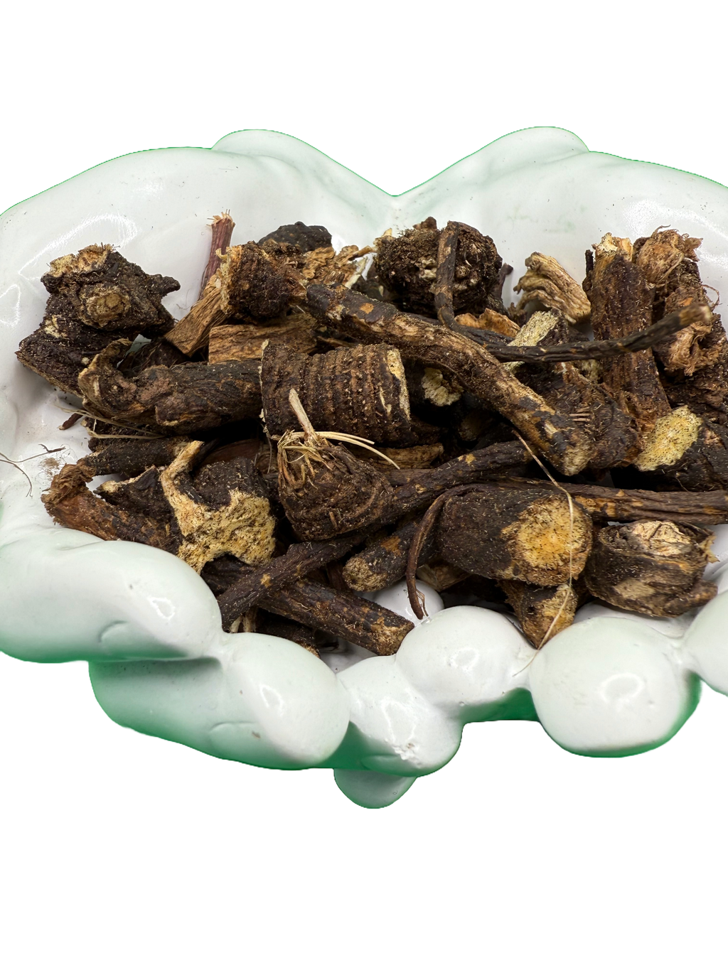 Osha Root (Ligusticum porteri) | HealinGifts
