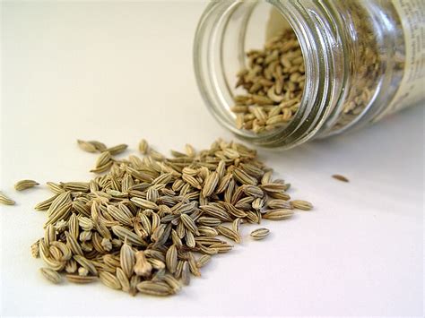 Whole Fennel Seeds | Sweet Aromatic Culinary Spice