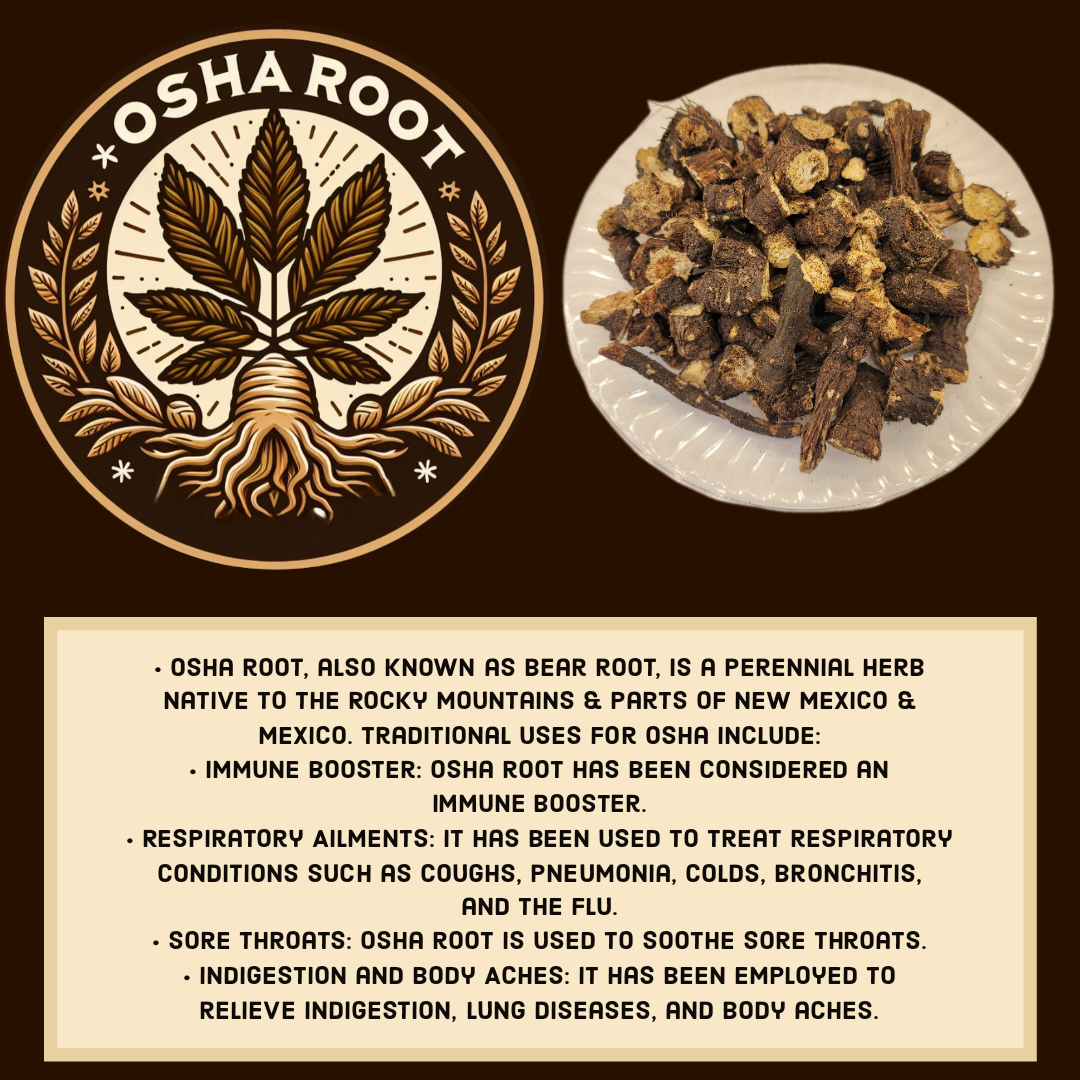 Osha Root Bear Root Immune Booster