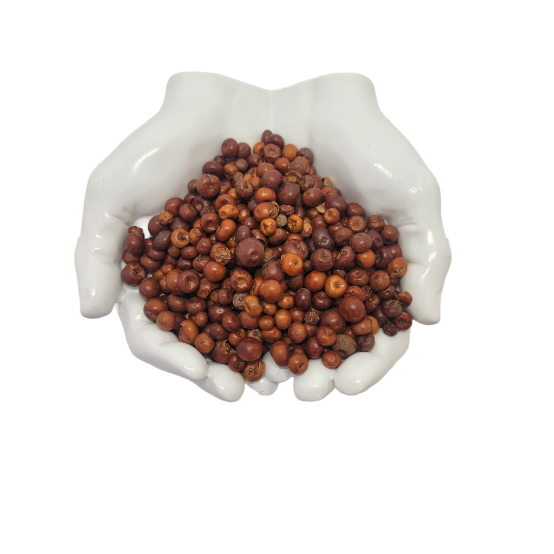 Uva Ursi berries 