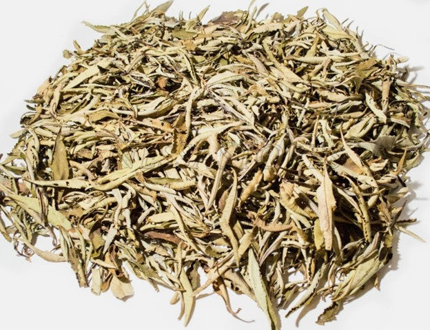 Yerba Santa