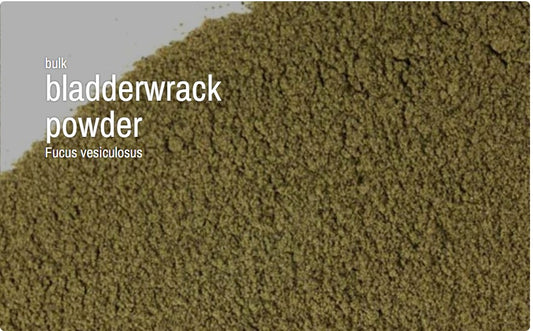 Bladderwrack Powder Organic