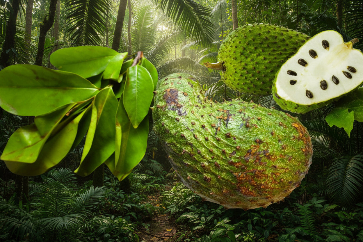 soursop fruit and leaves