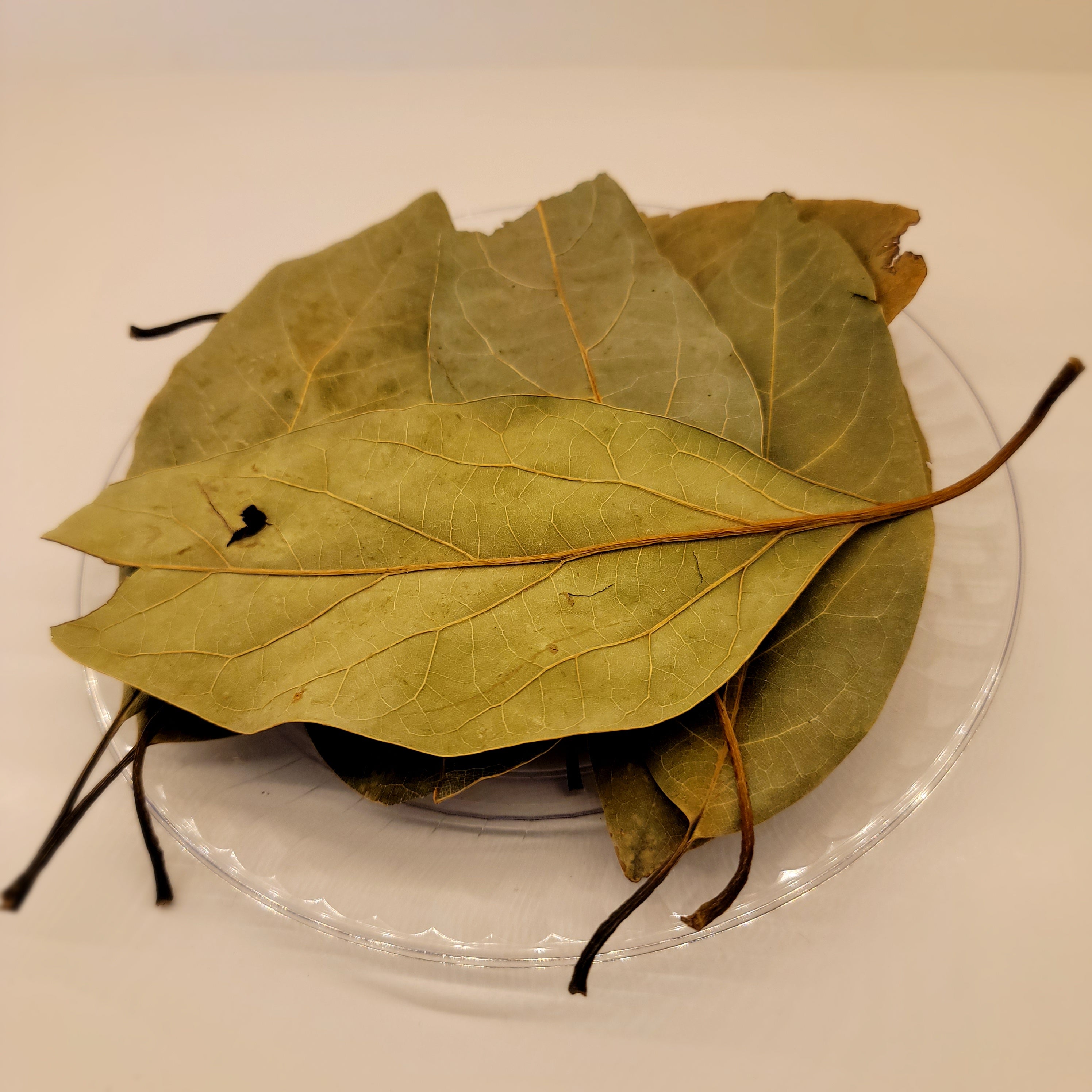 Avocado Leaves dried