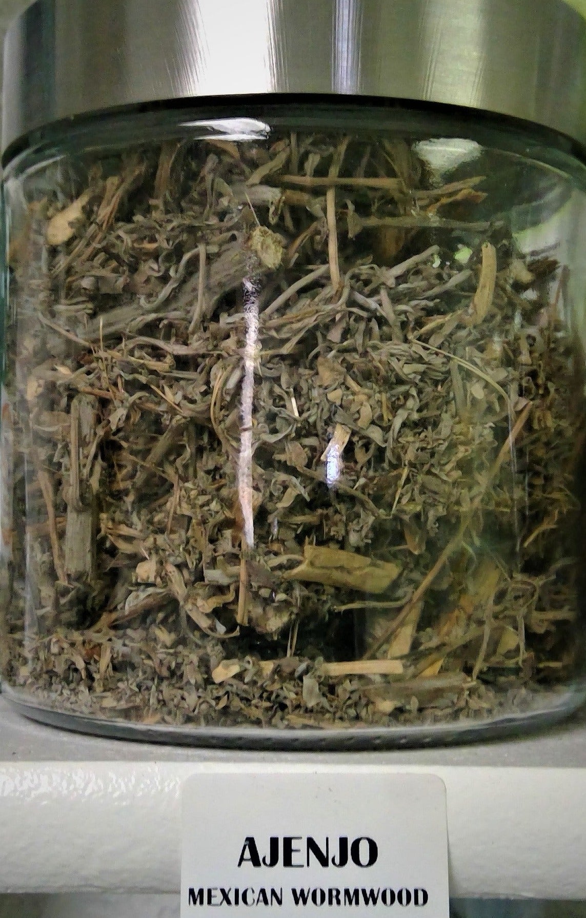 Ajenjo/Mexican Wormwood