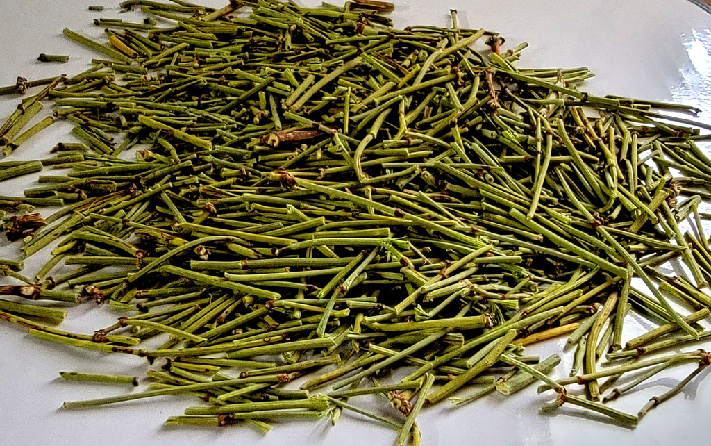 Té mormón 
