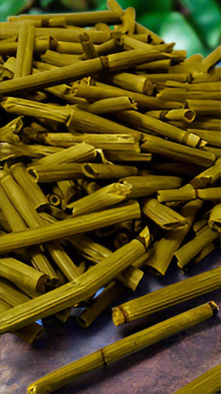 Horsetail-herb-great-for-aches-bone-support