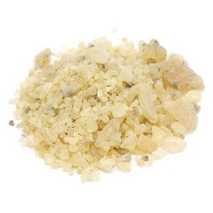 Piezas de Oro Copal Oro Wildcrafted