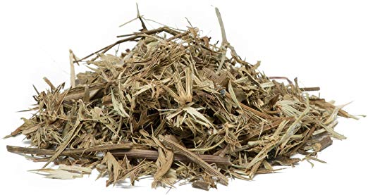 HIERBA DEL SAPO   ERYNGIUM NASTURTIIFOLIUM  TOAD'S HERB  FROGGRASS