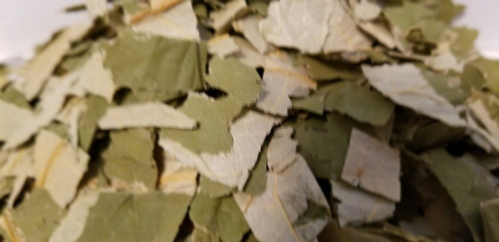 Hojas de Loto Nelumbo Nucifera cortadas Sin Sulfitos