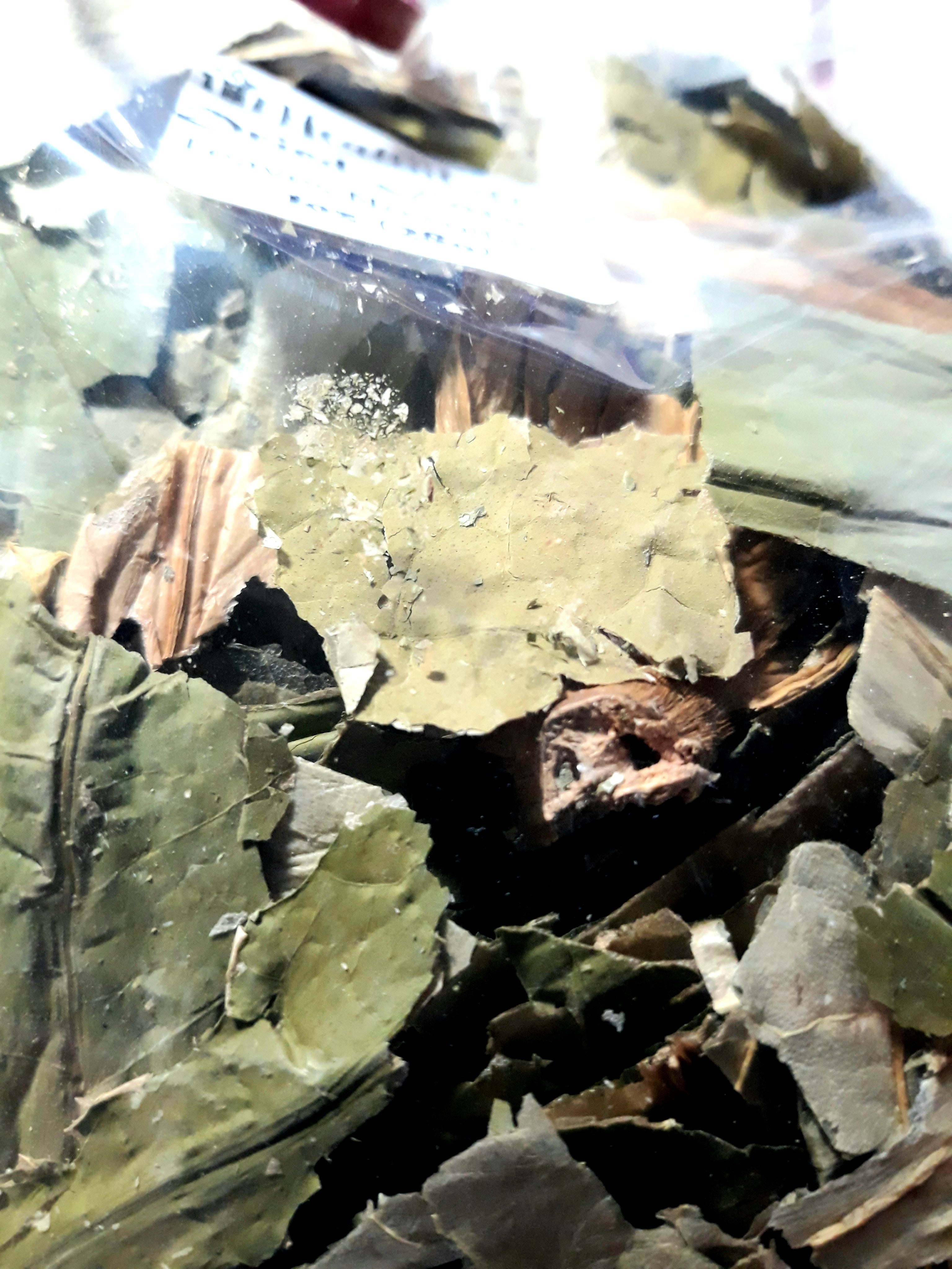Hojas de Loto Nelumbo Nucifera cortadas Sin Sulfitos
