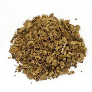 Polvo de raíz de muelle amarillo elaborado de forma silvestre